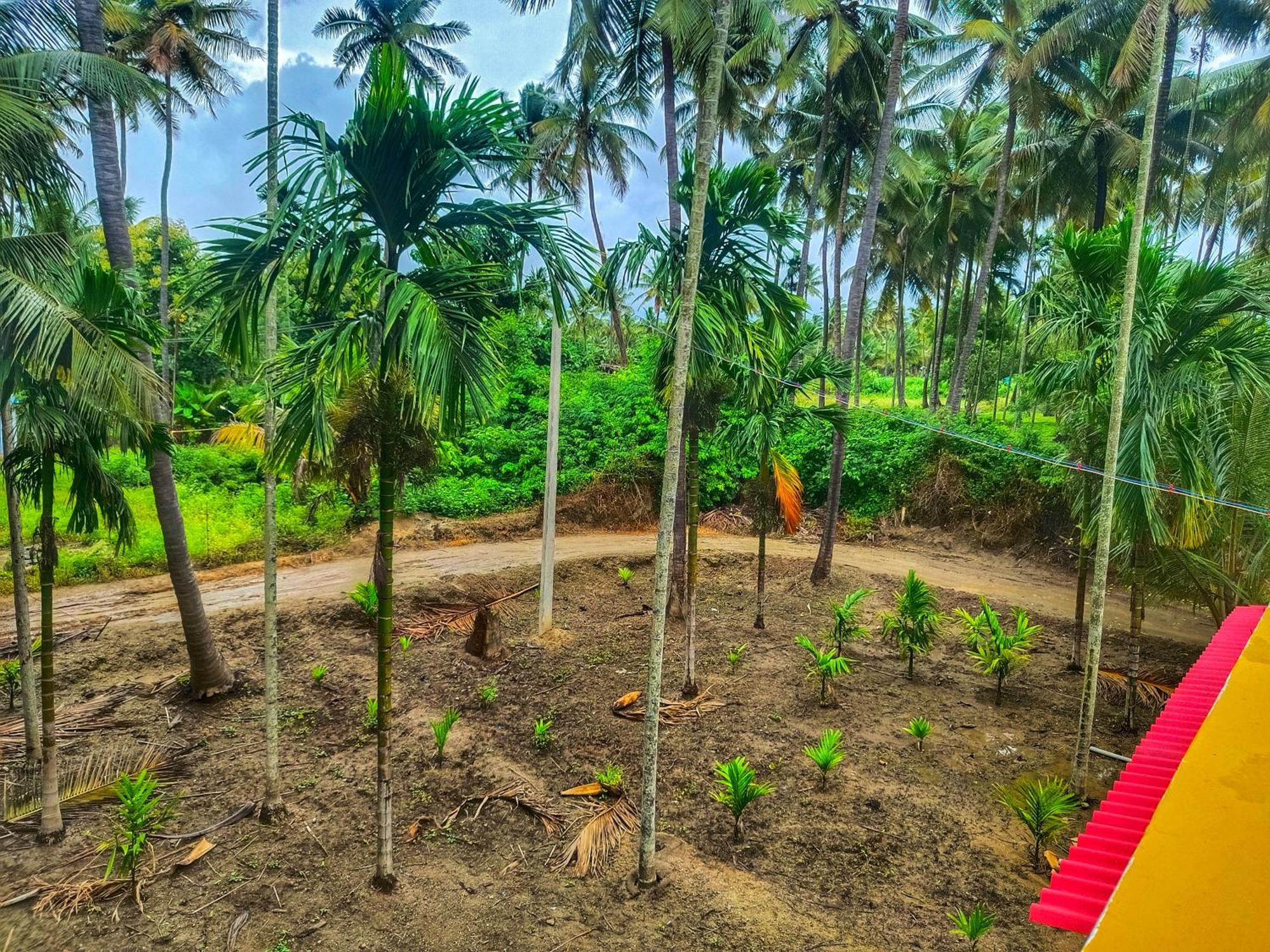 Shivalaya Farmstay Located Amdist Coconut Farm With River Access Near Isha,Adiyogi,Siruvani Alāndurai Esterno foto