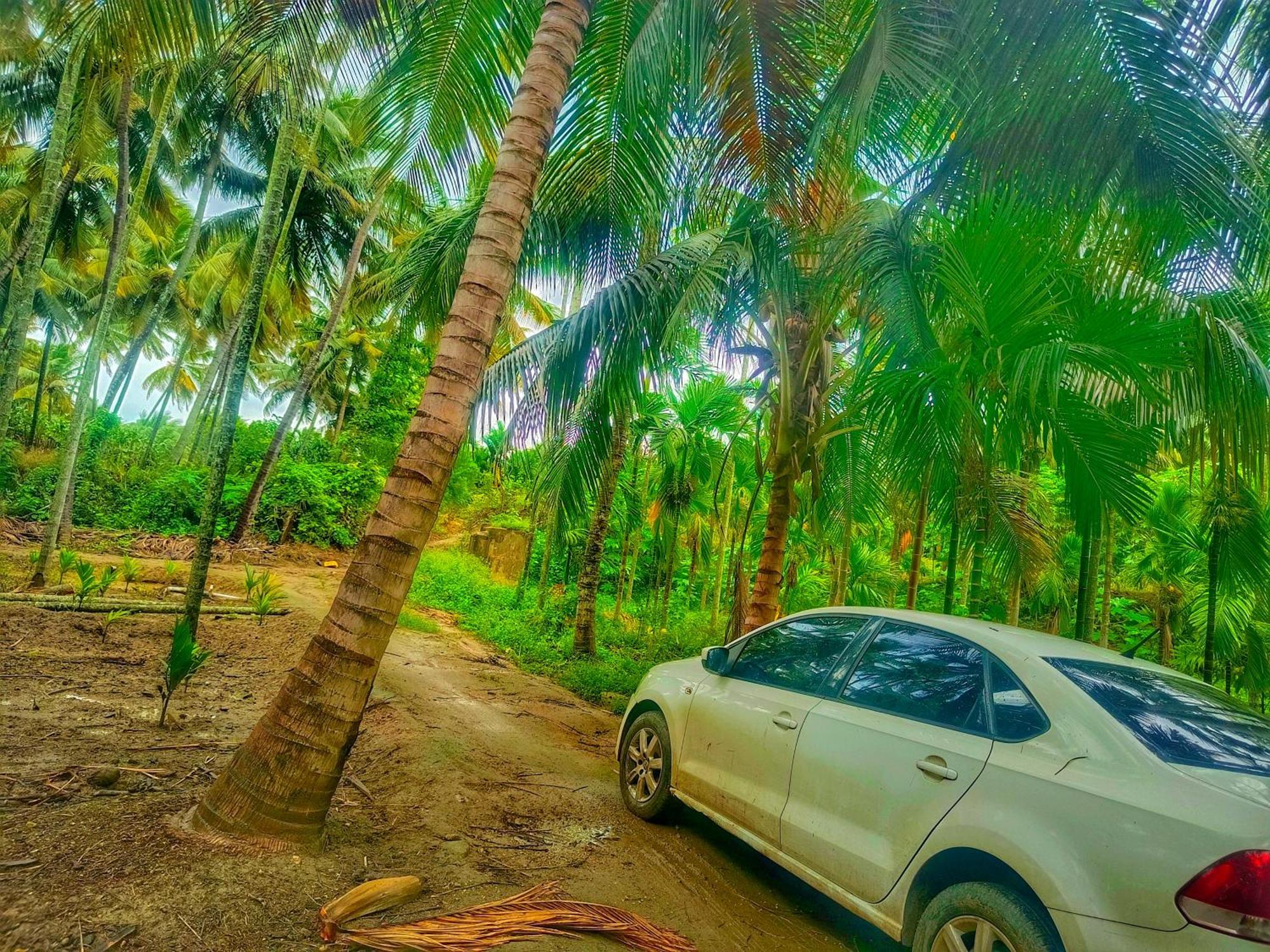 Shivalaya Farmstay Located Amdist Coconut Farm With River Access Near Isha,Adiyogi,Siruvani Alāndurai Esterno foto